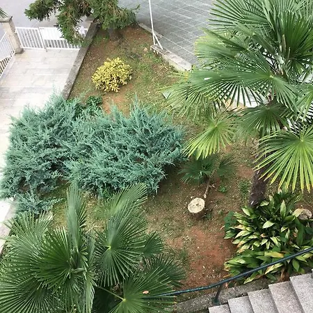 Kiki 奥帕提亚
